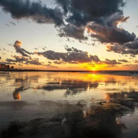 Near Marina & Pool * 니우포르트