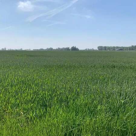 Near Marina & Pool 아파트