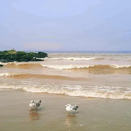 Near Marina & Pool 아파트 *