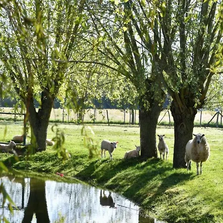 아파트 Near Marina & Pool *