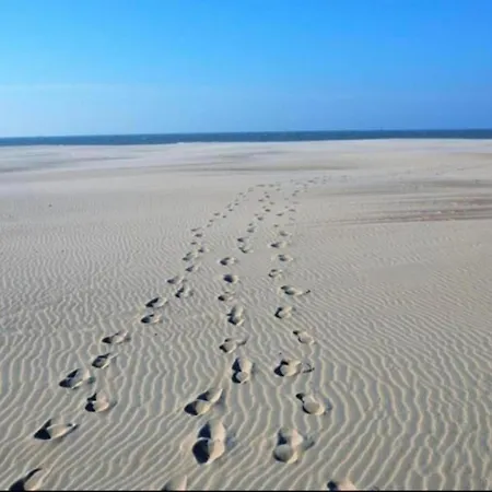 Near Marina & Pool 아파트 니우포르트