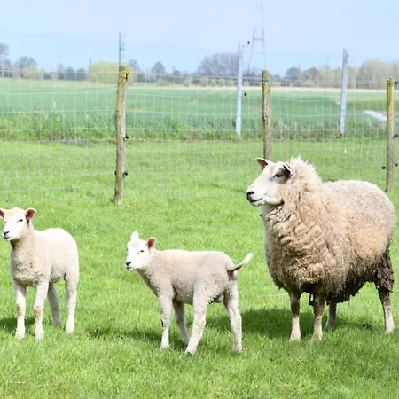 Near Marina & Pool Nieuwpoort